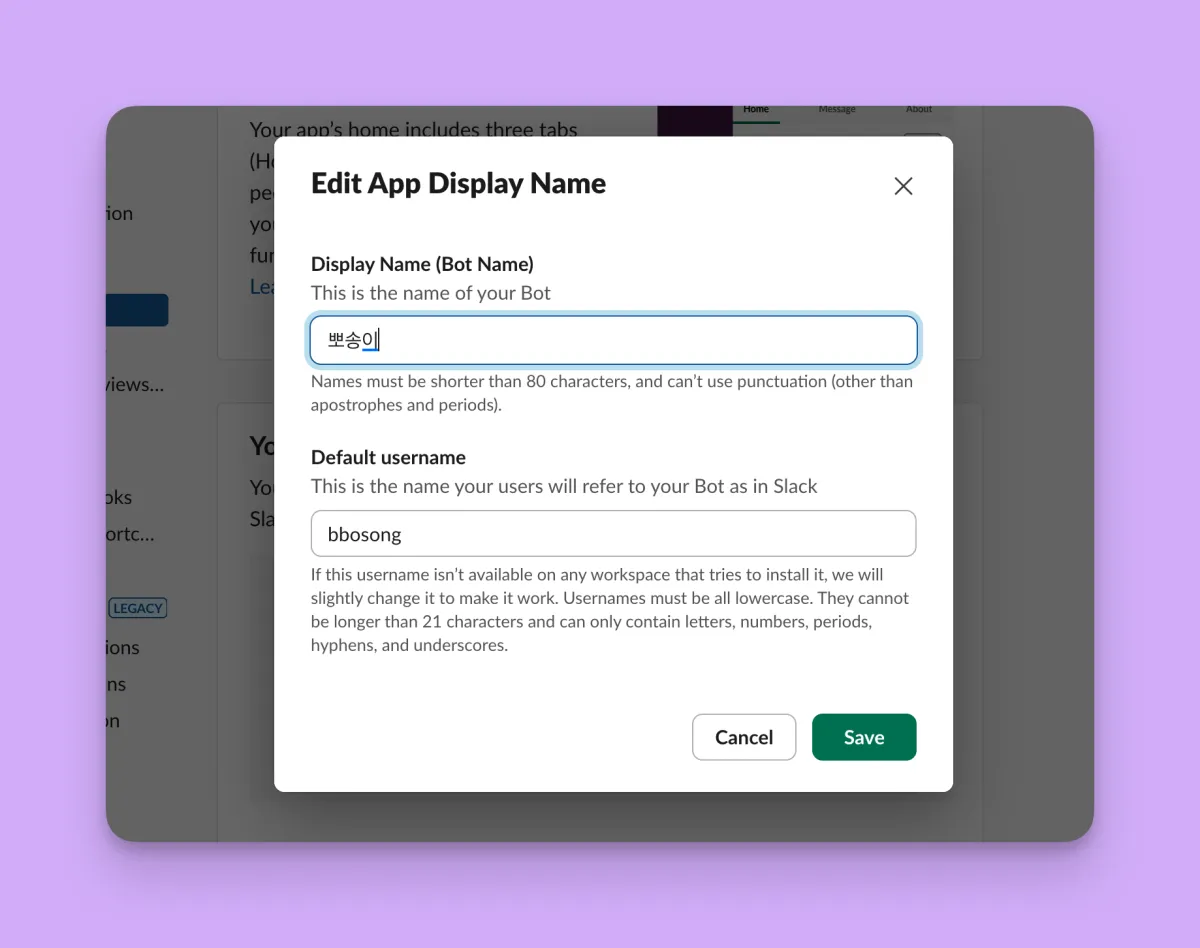 Edit App Display Name 창에서 Display Name(Bot Name)을 한글로 바꾸는 화면