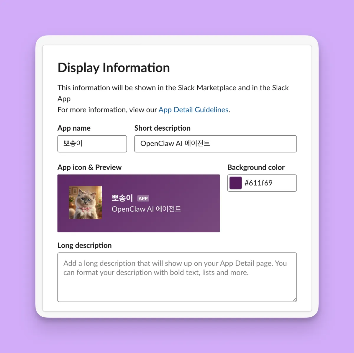 Basic Information의 Display Information에서 App icon과 미리보기를 설정한 화면