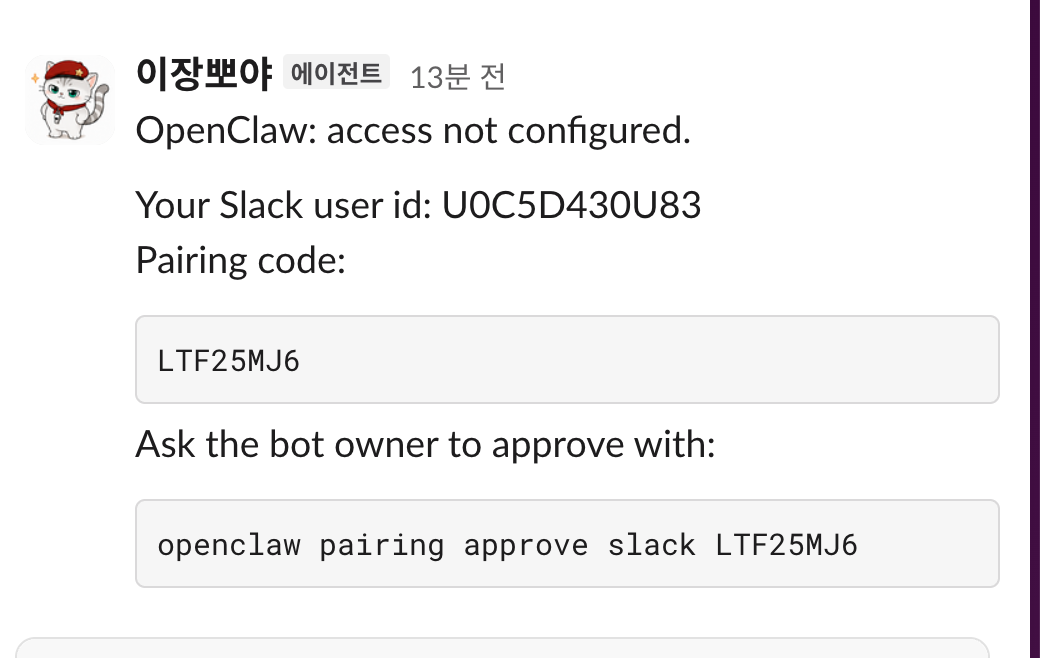 봇이 DM으로 보낸 승인 코드 안내: access not configured, Pairing code, openclaw pairing approve slack 코드
